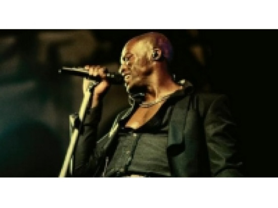 Seal sur sc&egrave;ne &agrave; Lyon en novembre