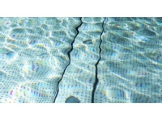 Mondiaux de natation &agrave; Barcelone : une Lyonnaise en finale