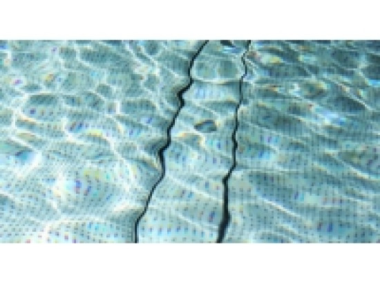 Mondiaux de natation &agrave; Barcelone : la Lyonnaise finit derni&egrave;re