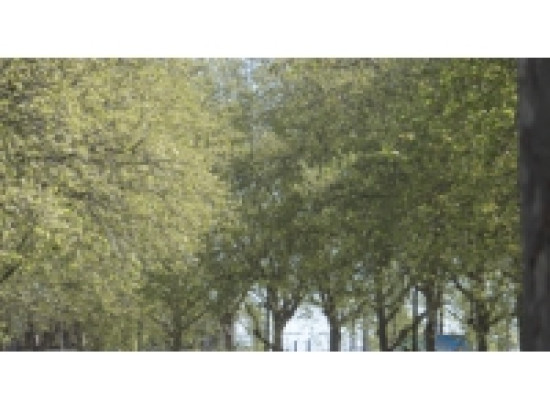 Rh&ocirc;ne : nouvelle alerte pollinique dans le d&eacute;partement