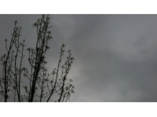 Pluies et inondations : le Rhône toujours en vigilance orange Pluies et inondations : le Rhône toujours en vigilance orange