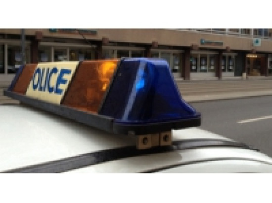 Deux escrocs interpellés à Lyon Deux escrocs interpellés à Lyon