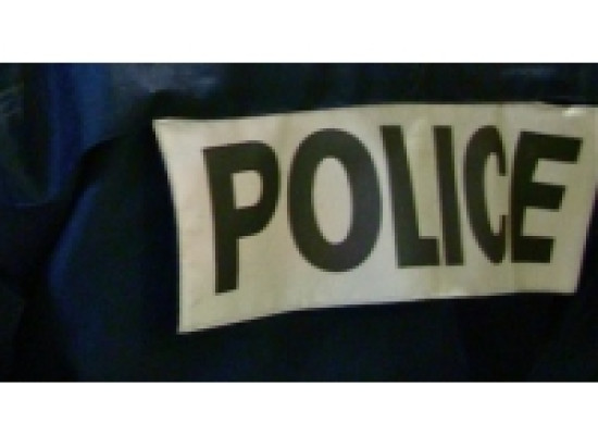 Des contrôleurs TCL pris à partie samedi à Villeurbanne Des contrôleurs TCL pris à partie samedi à Villeurbanne