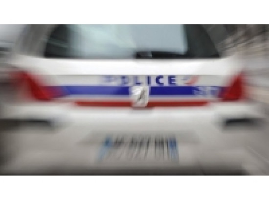 Lyon : ils auraient &agrave; leur actif plusieurs dizaines de vols