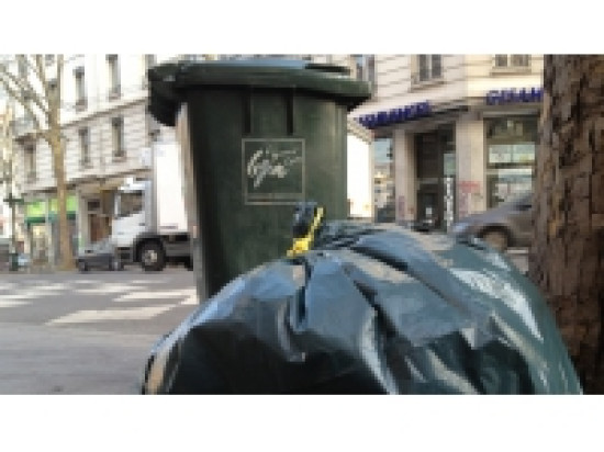 Les Rh&ocirc;nalpins champions du tri s&eacute;lectif