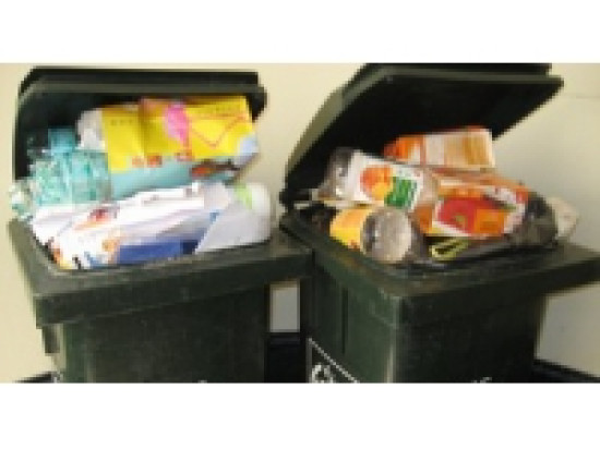 Recyclage : les Rhodaniens plut&ocirc;t bons &eacute;l&egrave;ves