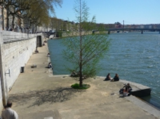 Le conseil d&eacute;partemental de l'environnement donne un avis favorable aux rives de Sa&ocirc;ne