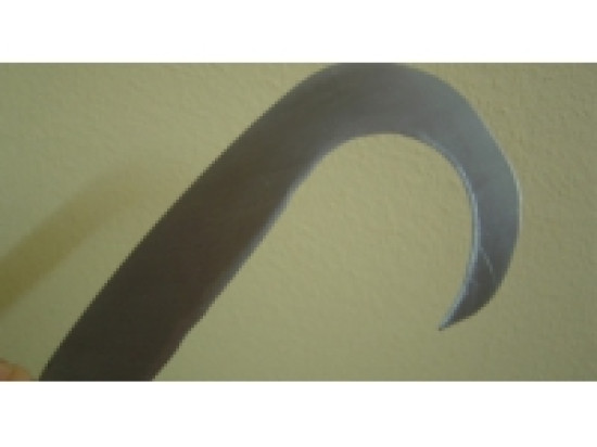 Lyon : il menace ses frères avec une serpette