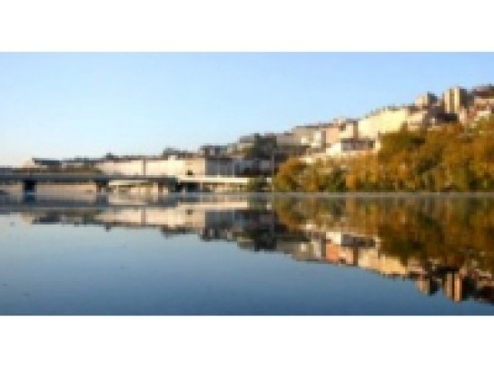 Alertes polliniques en cours dans le Rh&ocirc;ne