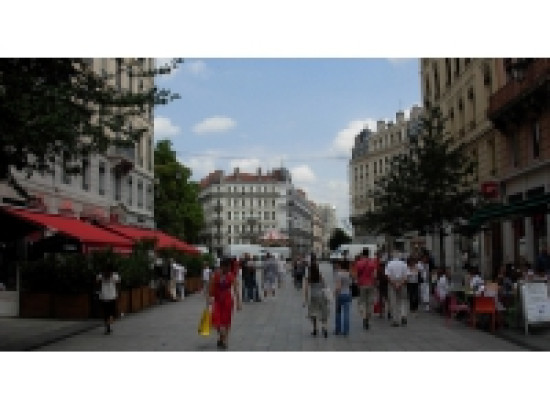 Journée internationale Sans Viande : 100 repas végétariens distribués à Lyon Journée internationale Sans Viande : 100 repas végétariens distribués à Lyon