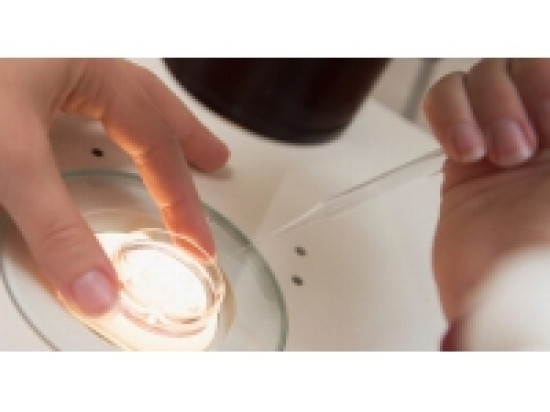 Vers une lev&eacute;e de l'anonymat du don du sperme ?