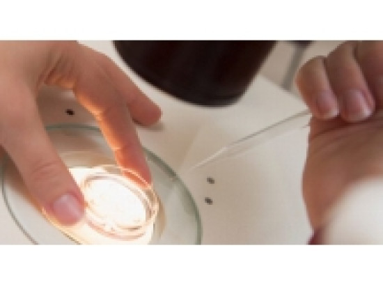 Le don de sperme restera anonyme