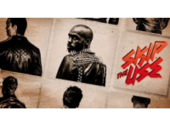 Skip The Use bient&ocirc;t sur sc&egrave;ne &agrave; Villefranche