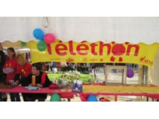 Téléthon 2013 : 915 000 euros de dons dans le Rhône Téléthon 2013 : 915 000 euros de dons dans le Rhône