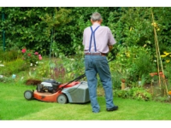 Lyon vend son mat&eacute;riel de jardin aux ench&egrave;res