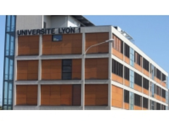 Université Lyon 1 : des inscriptions en hausse de 8,5% Université Lyon 1 : des inscriptions en hausse de 8,5%
