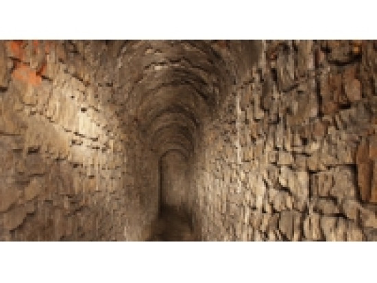 Les Ar&ecirc;tes de Poisson au coeur de Quais du Polar