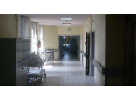 Lyon : la Cha&icirc;ne de l'Espoir toujours &agrave; la recherche de familles d'accueil