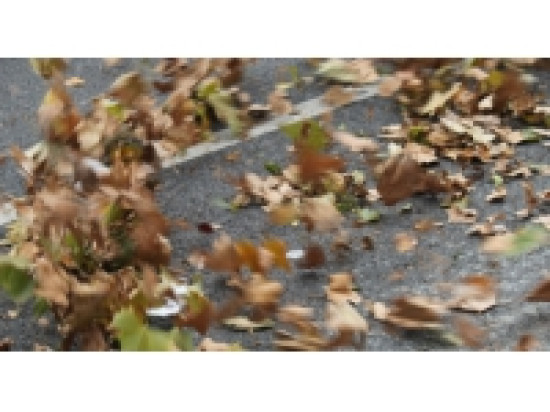 Encore du vent &agrave; Lyon vendredi mais il soufflera moins fort