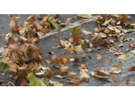 Le vent est de retour ce week-end &agrave; Lyon