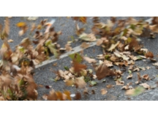 Lyon : les parcs T&ecirc;te-d'Or et Gerland ferm&eacute;s dimanche &agrave; cause du vent