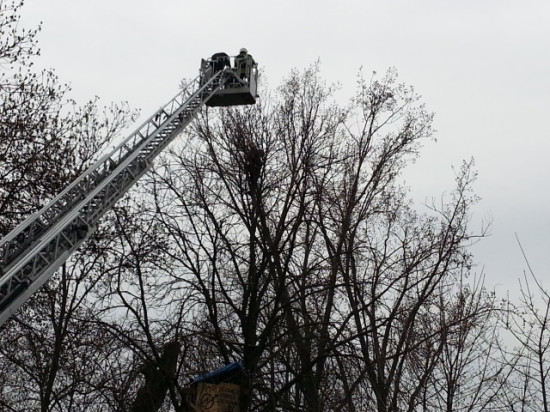 Expulsion des squatteurs d'une villa du CROUS à Villeurbanne
