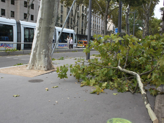Des vents violents attendus dans le Rhône ce samedi