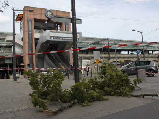 Rhône : plus d'une centaine d'interventions liées au vent