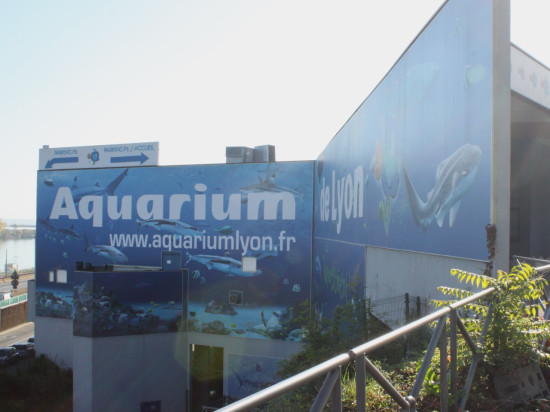 Lyon : l’extension de l’aquarium toujours au fond de l’eau