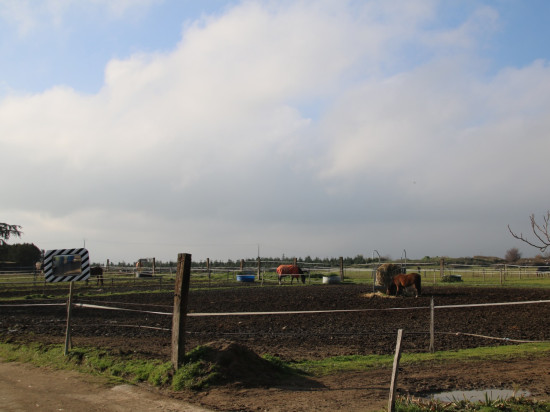 Rhône : sa jument tuée par balles, elle accuse les chasseurs