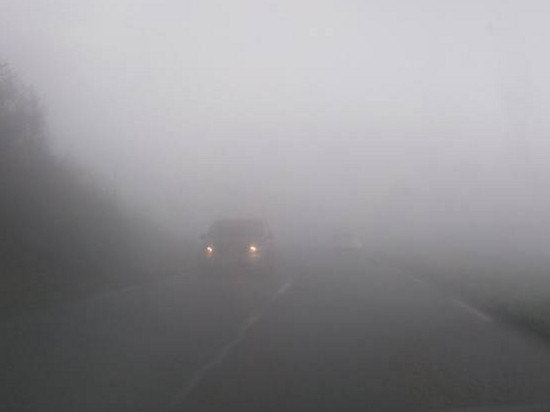 Surpris dans un jardin, il affirme s'être perdu dans le brouillard Surpris dans un jardin, il affirme s'être perdu dans le brouillard