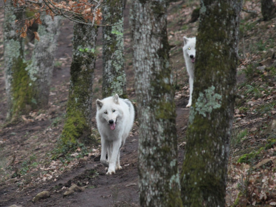 Que faire ce week-end des 27 et 28 février à Lyon ? Que faire ce week-end des 27 et 28 février à Lyon ?