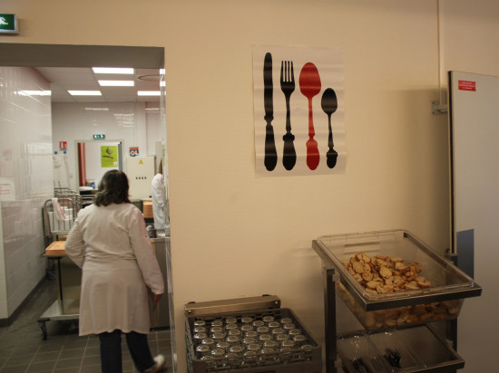 Villeurbanne : Greenpeace milite pour la mise en place des repas végétariens dans les cantines