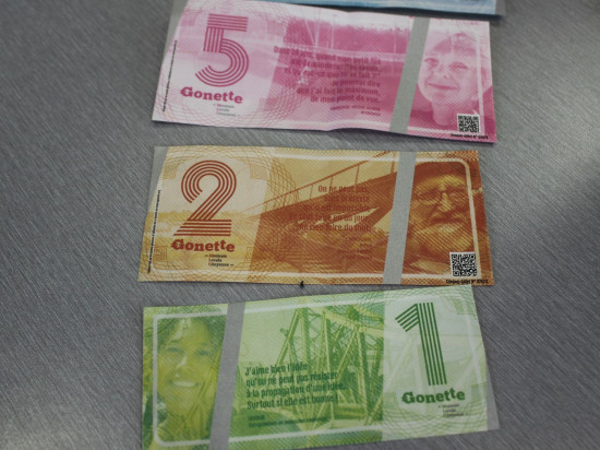 Un an après le lancement de la Gonette, l’équivalent de 80 000 euros en circulation à Lyon