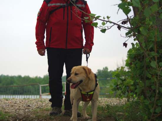 Vaulx-en-Velin : une maison inhabitée s'écroule Vaulx-en-Velin : une maison inhabitée s'écroule