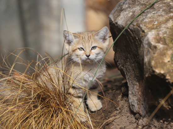 Que faire à Lyon ce week-end du 8, 9 & 10 juin 2018 ?