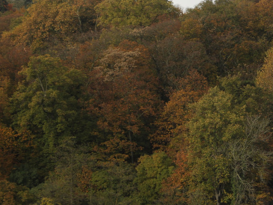 Une balade solidaire dans le Rhône pour lutter contre les maladies rares