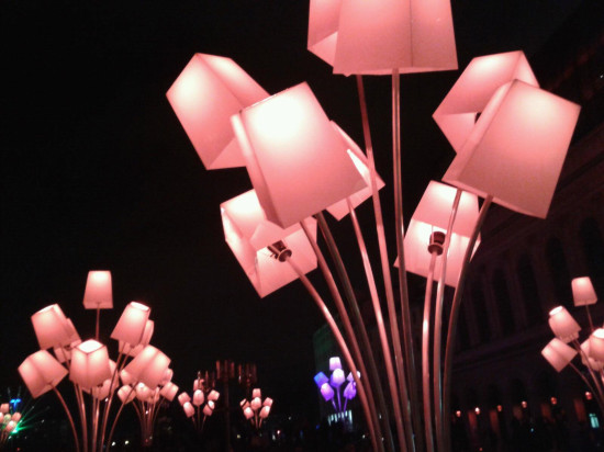Lyon : les Chinois de plus en plus attirés par la Fête des Lumières