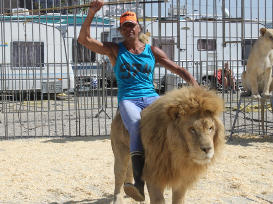 Le cirque Pinder des lyonnais Edelstein en liquidation judiciaire