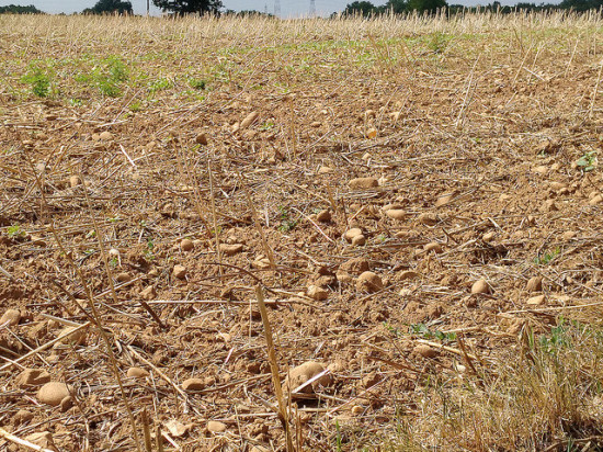 Le département du Rhône placé en vigilance sécheresse Le département du Rhône placé en vigilance sécheresse