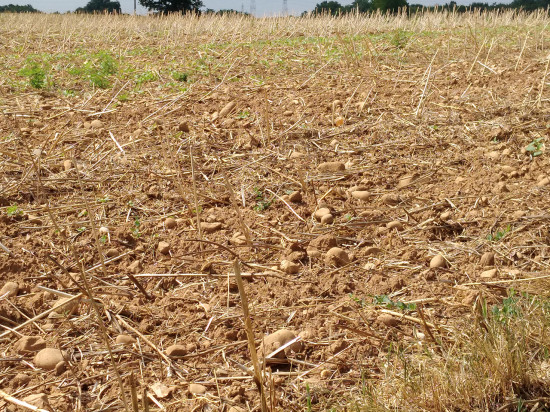 L'alerte s&egrave;cheresse renforc&eacute;e d&eacute;clench&eacute;e dans le Rh&ocirc;ne