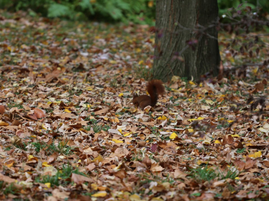 Face à la recrudescence de comportements inappropriés, la Métropole de Lyon établit "les 8 commandements du promeneur"