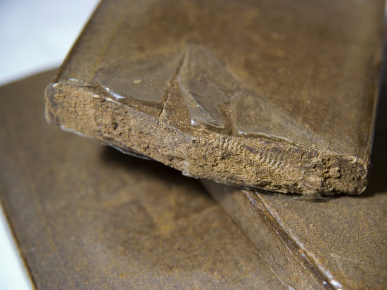 Lyon : un important réseau "Uber Shit" démantelé par la police