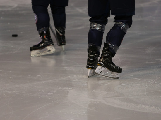 Les Lions déroulent face à Chambéry (1-10)