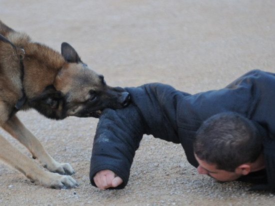 Démonstration et prévention au cœur des Journées de la sécurité
