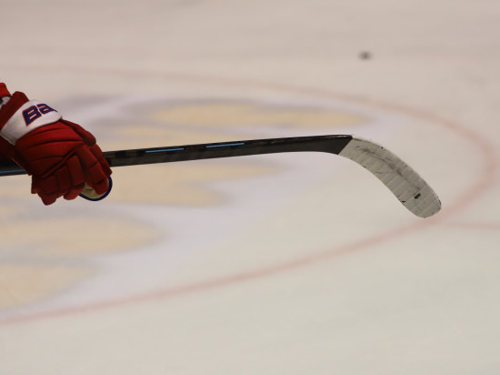 Un match de hockey programmé le 8 février en l'honneur du policier tué à Bron