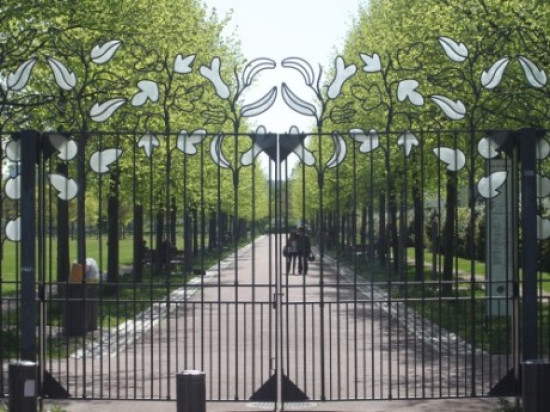 Lyon : le festival 6e continent annulé