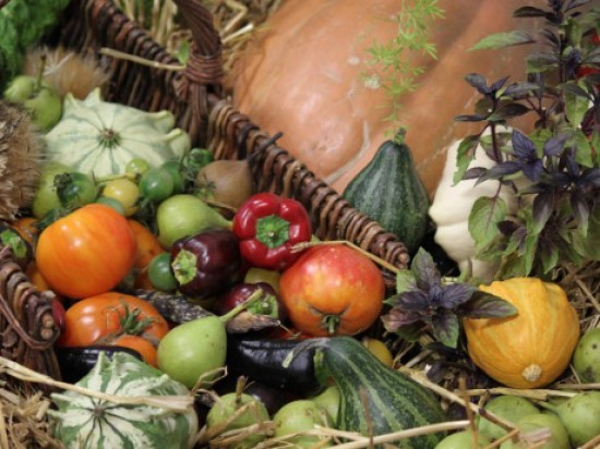 Villeurbanne : une plantation géante de légumes organisée mardi