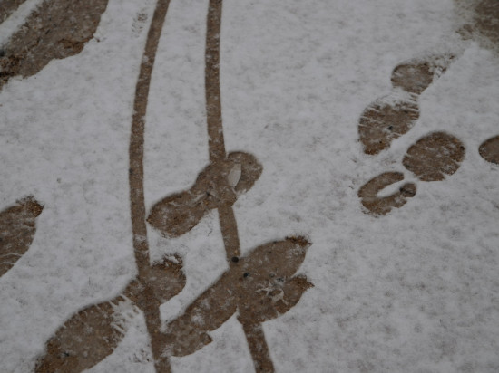 Neige : la Métropole de Lyon a levé son dispositif de viabilité hivernale Neige : la Métropole de Lyon a levé son dispositif de viabilité hivernale