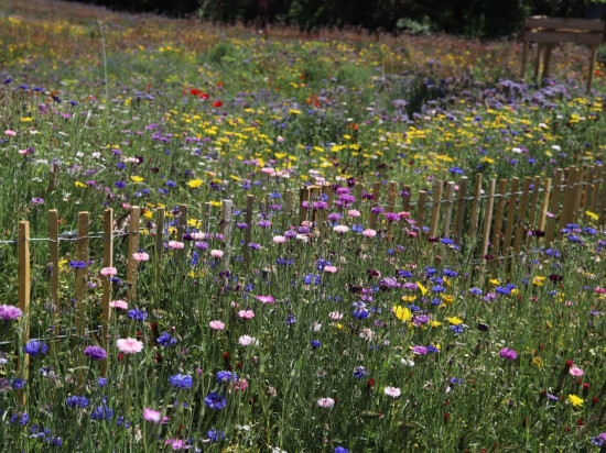 Confinement : tous les parcs et squares de Meyzieu fermés à leur tour